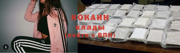 гидра Арсеньев