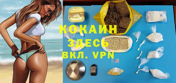гидра Арсеньев