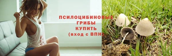 гидра Арсеньев