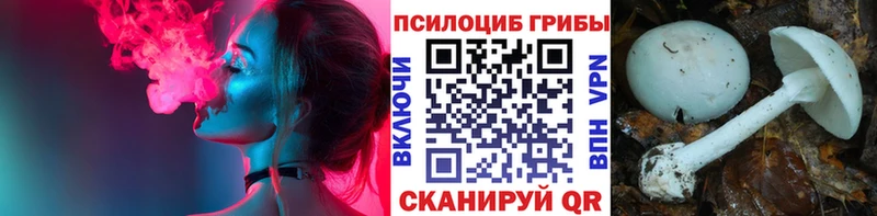 hydra ТОР  Соль-Илецк  Псилоцибиновые грибы прущие грибы  купить наркотик 